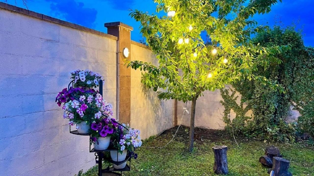 Hotel Oxford By Timhotels Timişoara Exterior foto